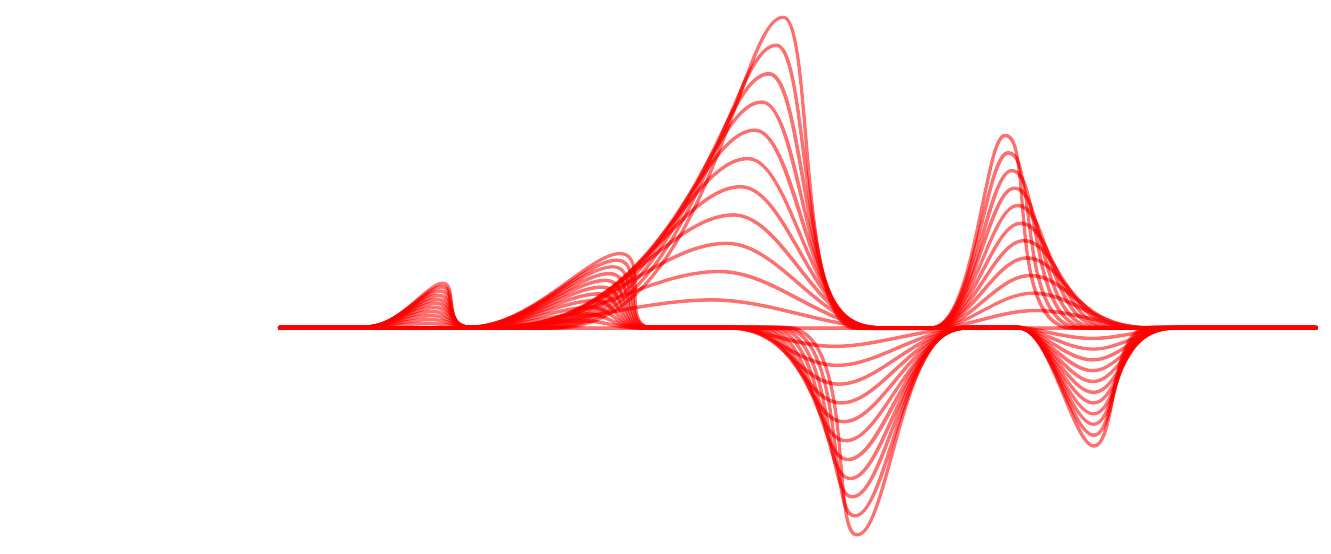 Risk Models Logo